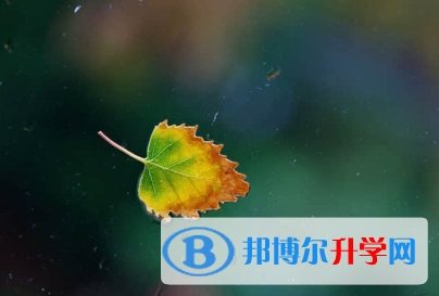 秦皇島2021年中考報名系統(tǒng)網(wǎng)址