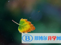 秦皇島2021年中考報名系統(tǒng)網(wǎng)址