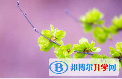 秦皇島2021年中考網(wǎng)上志愿如何打印