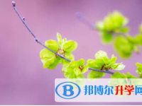 秦皇島2021年中考網(wǎng)上志愿如何打印