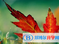 秦皇島2021年中考報(bào)考志愿表