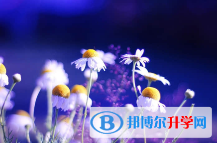 秦皇島2021年查詢中考成績上哪個(gè)網(wǎng)站