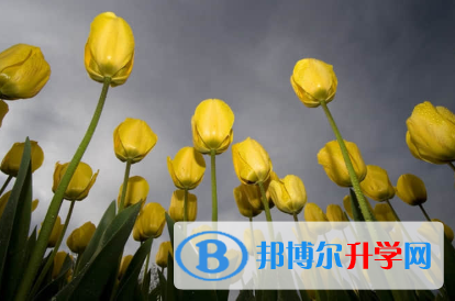 秦皇島2021年中考成績什么時(shí)候出來