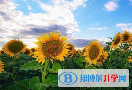 秦皇島2021年中考報(bào)考指南