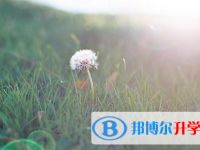 承德2021年查詢中考成績上哪個(gè)網(wǎng)站