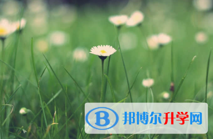 承德2021年網(wǎng)上查詢中考成績