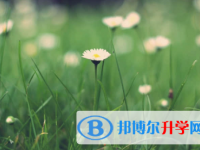 承德2021年網(wǎng)上查詢中考成績