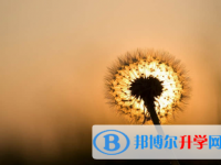 承德2021年網(wǎng)上查詢中考成績怎么查詢