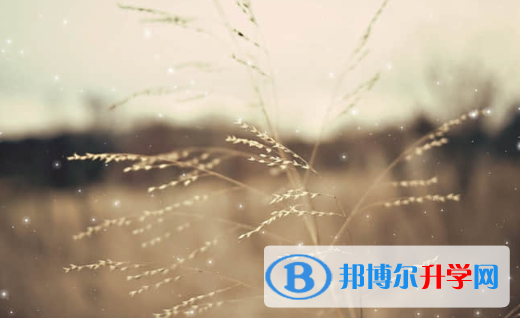 承德2021年中考查詢成績網(wǎng)址