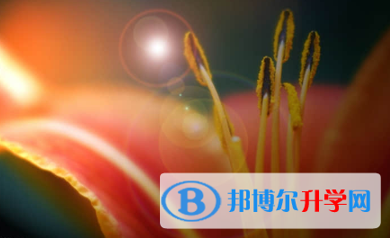 承德2021年中考看成績是在哪個網(wǎng)站