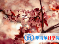 承德2021年近年中考重點(diǎn)線