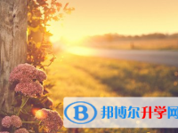 承德2021年中考報(bào)考指南