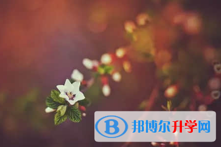 承德2021年中考成績(jī)什么時(shí)候公布