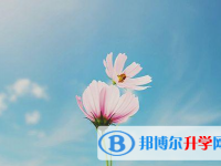 承德2021年中考考點(diǎn)