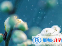 承德2021年中考填志愿的網(wǎng)站