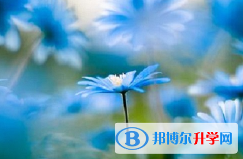 承德2021年中考網(wǎng)報(bào)