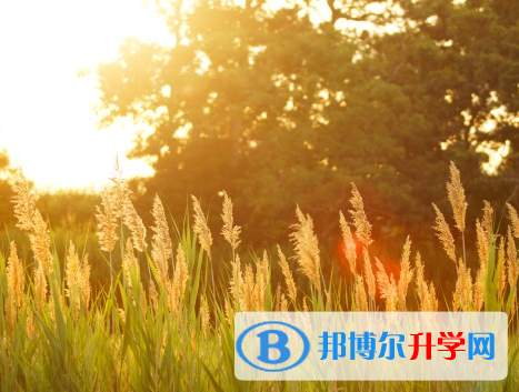 承德2021年中考網(wǎng)上報(bào)考信息平臺(tái)