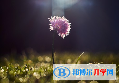 承德2021年中考網(wǎng)上報名模擬