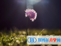 承德2021年中考網(wǎng)上報名模擬