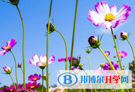 張家口2021年中考報(bào)名網(wǎng)址