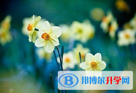 承德2021年中考重點(diǎn)復(fù)習(xí)