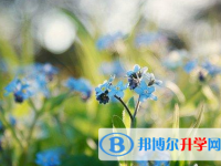 成都2021年中考報(bào)考攻略