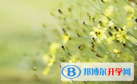 成都2021年中考報(bào)考指南