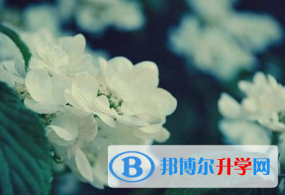 成都2021年中考報(bào)名網(wǎng)