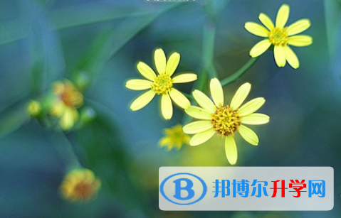 成都2021年中考報(bào)名網(wǎng)站