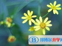 成都2021年中考報(bào)名網(wǎng)站