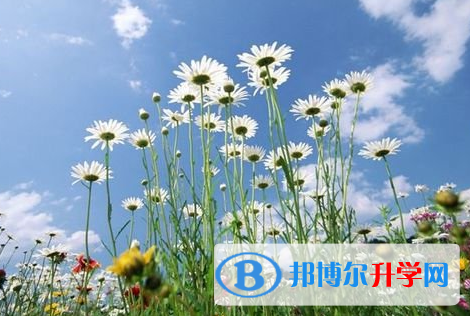 成都2021年中考報(bào)名系統(tǒng)