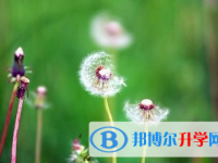 成都2021年中考查詢網(wǎng)址