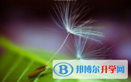 成都2021年中考錄取報(bào)名網(wǎng)