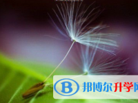 成都2021年中考錄取報(bào)名網(wǎng)