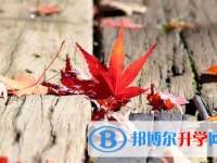 成都2021年中考預(yù)估重點(diǎn)線