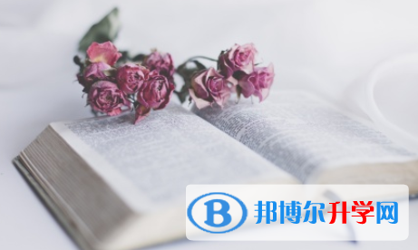 成都2021年中考重點(diǎn)復(fù)習(xí)資料