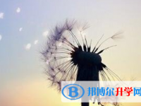 成都2021年今年中考統(tǒng)招線包括哪些區(qū)域