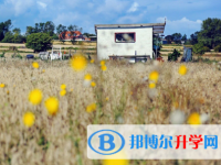 成都2021年中考報(bào)考學(xué)校名單