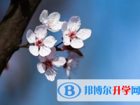 成都2021年中考報(bào)名服務(wù)平臺(tái)