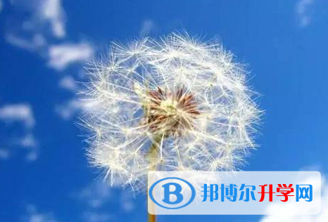 成都2021年中考各科高頻考點(diǎn)