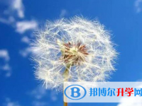 成都2021年中考各科高頻考點(diǎn)