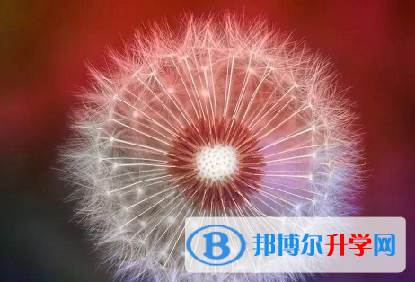 成都2021年中考生活注意事項(xiàng)