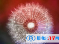 成都2021年中考生活注意事項(xiàng)