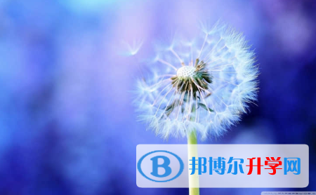 成都2021年中考沒(méi)考好可以復(fù)讀嗎