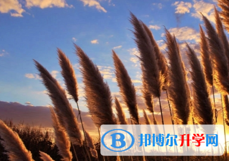 成都2021年中考的報(bào)名號(hào)是什么