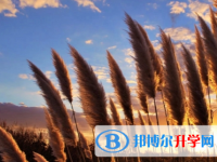 成都2021年中考的報(bào)名號(hào)是什么