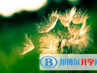 成都2021年中考報(bào)名網(wǎng)站登錄