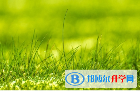 成都2021年中考報(bào)名網(wǎng)站是什么