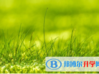 成都2021年中考報(bào)名網(wǎng)站是什么