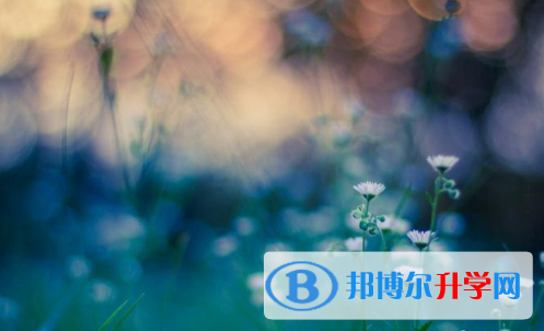 成都2021年中考志愿如何填報(bào)